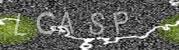 Anti-Spam-Code
